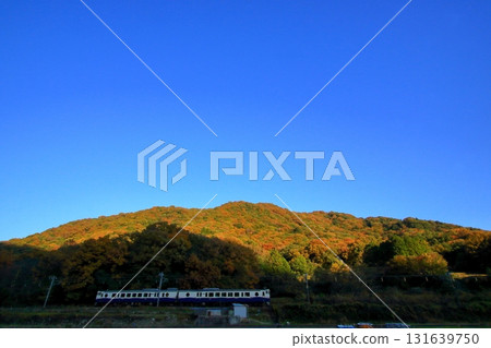 在秋色山巒下行駛的觀光列車等。 131639750
