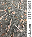 fallen leaves on the ground 131640095