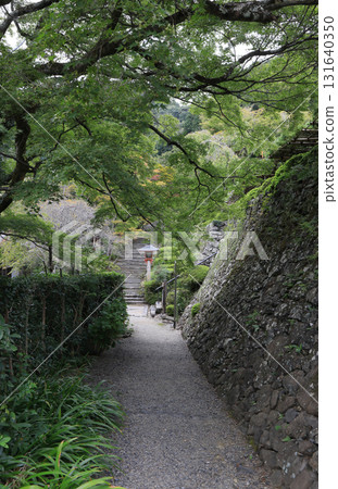 從西國三十三觀音寺第20座寺廟善寶寺的鐘樓眺望阿彌陀堂。右上方是龍之松。 131640350