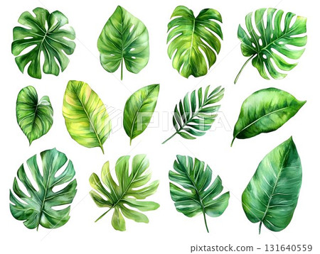Verdant tropical foliage painting featuring watercolor green leaves radiating exotic botanical vibrancy against pristine white background, highlighting natural elegance 131640559
