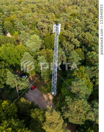 Aerial view of dense forest with a tall telecom tower and dirt access road highlighting the intersection of technology and natural landscape. 131640955