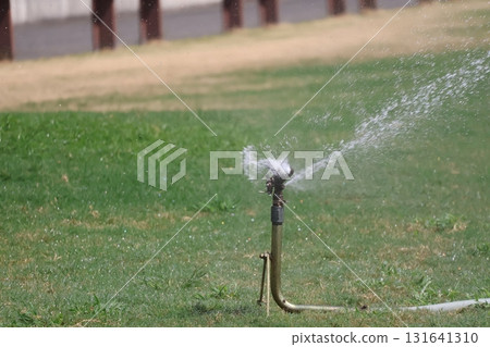 Park scene with automatic water sprinkler on green lawn 131641310