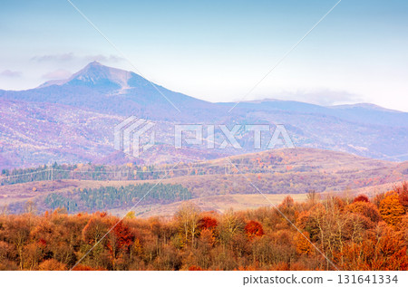 scenic mountain landscape in autumn. epic alpine scenery of carpathians with distant pikui peak under blue sky. beech forest in colorful foliage during fall season. amazing place on a sunny morning 131641334