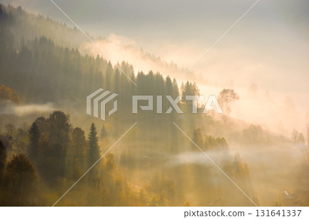 rising fog in valley. rural landscape in autumn. trees on the hill emerge from cold morning mist. village concealed in glowing haze. beautiful countryside scene in carpathian mountains at sunrise rising fog in valley. rural landscape in autumn. trees on the hill emerge from cold morning mist. village concealed in glowing haze. beautiful countryside scene in carpathian mountains at sunrise 131641337