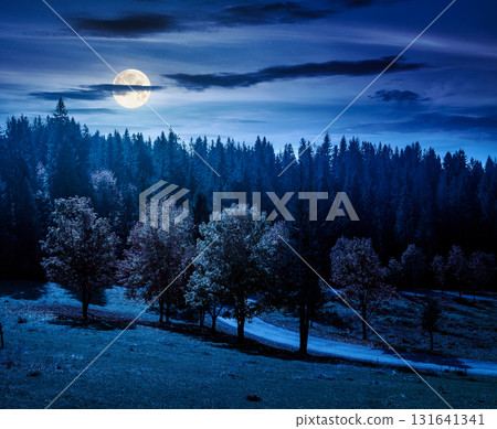 autumn landscape with road through valley at night near coniferous forest with trees in colorful leaves. beautiful countryside scene in mountains. scenic place in full moon light autumn landscape with road through valley at night near coniferous forest with trees in colorful leaves. beautiful countryside scene in mountains. scenic place in full moon light 131641341