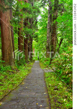 Haguroyama approach 131641452