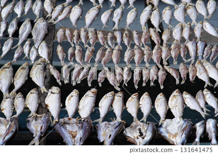Fresh fish drying outdoors in the bright sunlight 131641475