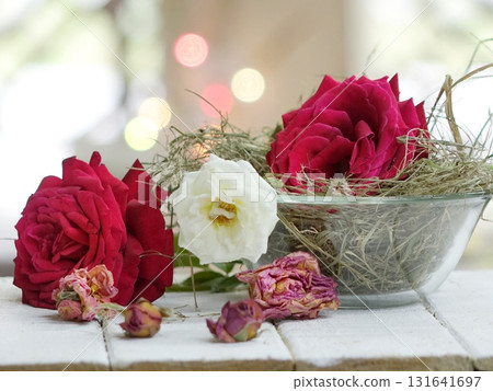 Red and White Rose 131641697