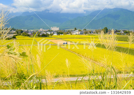 Autumn Azumino [Ikeda-cho, Kitaazumi-gun] 131642939