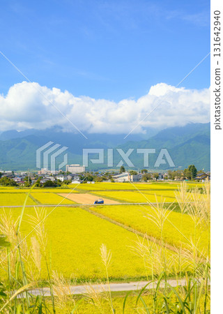 Autumn Azumino [Ikeda-cho, Kitaazumi-gun] 131642940