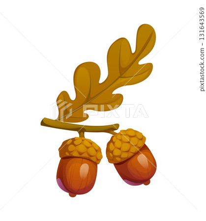 Cartoon autumn fall season acorns attached to the oak leaf. Isolated vector fallen forest foliage, woodland plant, brown seeds from the oak trees, feature glossy nuts and caps. Forest vegetation plant 131643569