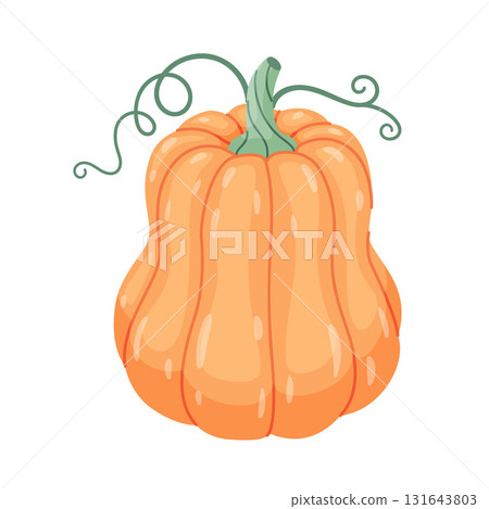 Autumn squash. Hand drawn trendy flat style isolated on transparent background Autumn squash. Hand drawn trendy flat style isolated on transparent background 131643803
