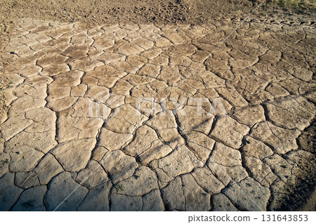Dry and cracked farmland in winter 131643853