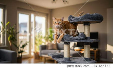 貓在貓塔玩 131644142