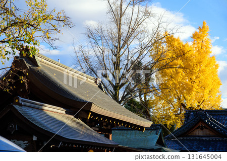 護王神社的銀杏樹 護王神社的銀杏樹 131645004