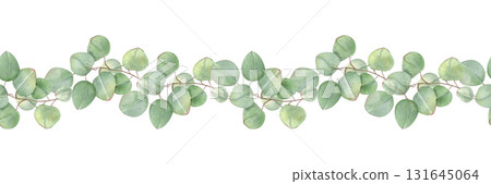 Watercolor green eucalyptus branches horizontal seamless banner on isolated background. Hand painted leaf plant ornate for spa design, herbal medicine, interior decor, wedding invitations 131645064