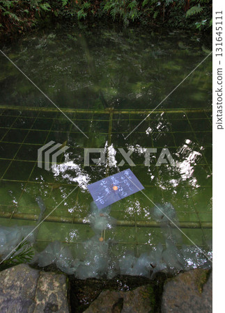 Yaigaki神社的鏡子池塘算命 131645111