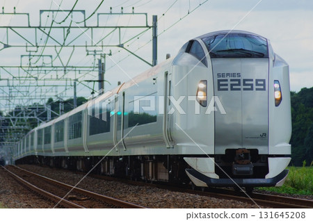 成田特快至東京、新宿、橫濱 131645208