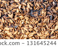 Burning the husks of newly threshed rice 131645244