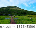 八丈島Fureai牧場 131645600