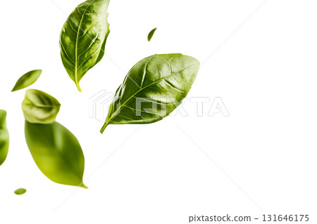 Floating green leaves in a natural serene environment showcasing the beauty and vitality of fresh organic plant life 131646175