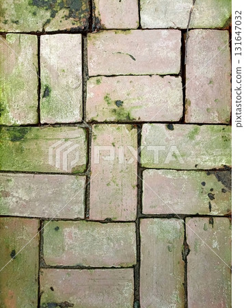 Old brick pavement covered with moss and weather stains 131647032