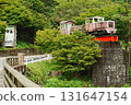 Forest railway 131647154