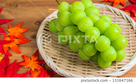 Shine Muscat grapes and autumn leaves served in a colander 131647166