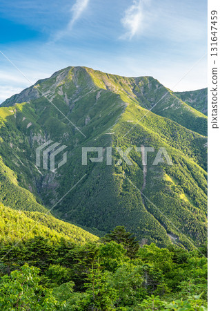 Mt. Hijiri (Mae Hijiri, Oku Hijiri) in the Southern Alps, seen from Mt. Minami in the Southern Alps. Hijiri climbing in the Southern Alps. Mt. Hijiri (Mae Hijiri, Oku Hijiri) in the Southern Alps, seen from Mt. Minami in the Southern Alps. Hijiri climbing in the Southern Alps. 131647459