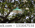 Green lamp hanging in a quiet park walkway 131647538