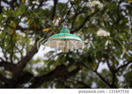 Green lamp hanging in a quiet park walkway Green lamp hanging in a quiet park walkway 131647538