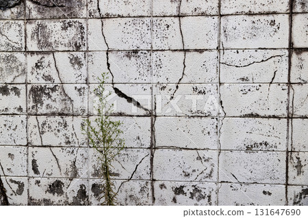 Cracked block wall 131647690