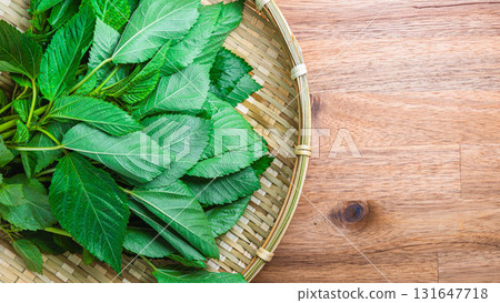 猶太人 猶太人 131647718