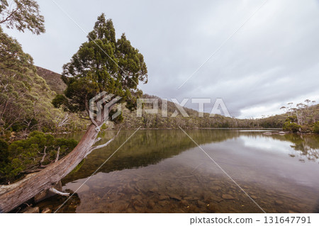 Lake Dobson in Mt Field National Park Tasmania Australia Lake Dobson in Mt Field National Park Tasmania Australia 131647791