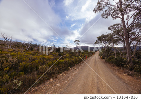 Lake Dobson Area in Tasmania Australia 131647816