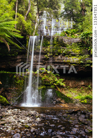 Russell Falls in Mt Field National Park Tasmania Australia Russell Falls in Mt Field National Park Tasmania Australia 131647851