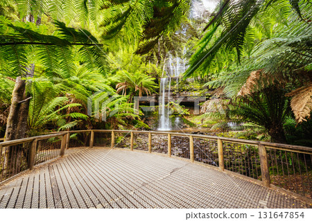 Russell Falls in Mt Field National Park Tasmania Australia 131647854
