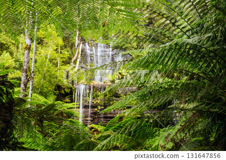 Russell Falls in Mt Field National Park Tasmania Australia Russell Falls in Mt Field National Park Tasmania Australia 131647856