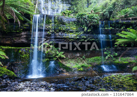 Russell Falls in Mt Field National Park Tasmania Australia 131647864