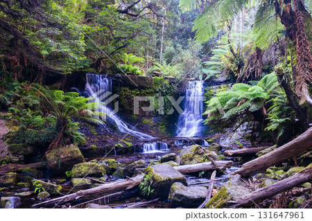 Horseshoe Falls in Tasmania Australia 131647961