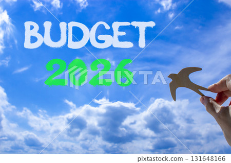 Budget 2026 symbol. Concept words Budget 2026 on beautiful blue sky. Beautiful blue sky background. Businessman's hand holds wooden bird. Business and budget 2026 concept. Copy space. 131648166