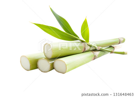 a stack of light green stalks is arranged on a stark white background. the stalks are cut, exposing a pale inner core, and are adorned with several vibrant green leaves a stack of light green stalks is arranged on a stark white background. the stalks are cut, exposing a pale inner core, and are adorned with several vibrant green leaves 131648463