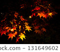 彌彥公園的紅葉焦點 131649602