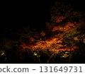 彌彥公園的夜色樹 131649731