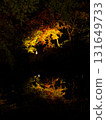 彌彥公園的紅葉物語 131649733