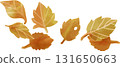 Gradient leaf illustration 131650663