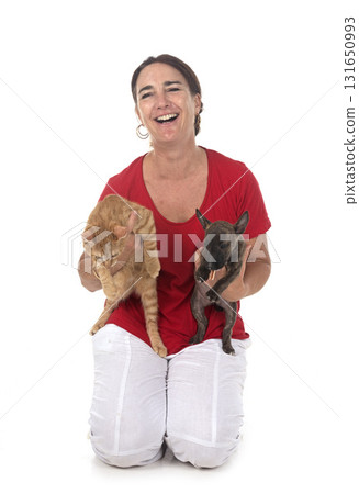 miniature bull terrier, kitten and woman in studio miniature bull terrier, kitten and woman in studio 131650993