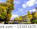 路邊樹木的秋葉風景 131651670