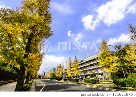 路邊樹木的秋葉風景 路邊樹木的秋葉風景 131651670