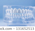 A close-up shot of a transparent dental model showcasing teeth, set against a soft, light blue backdrop, highlighting dental health. 131652513